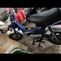 12v角目シャリー  2台セットの画像