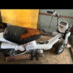 12v角目シャリー  2台セットの画像