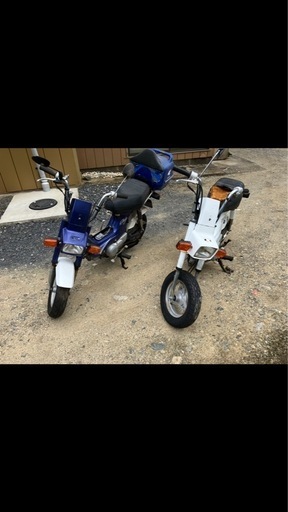 12v角目シャリー  2台セット