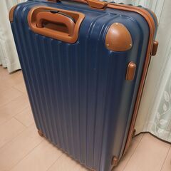【日本ブランド】TANOBI スーツケース 大容量100Lの画像