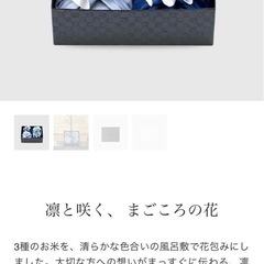 八代月儀兵