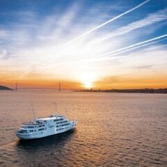 🌍格安でクルーズ旅行行きたい人募集⛴️
