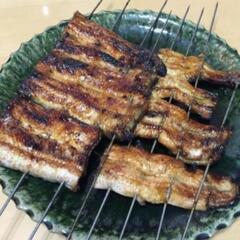 ⑲うなぎ釣りなら鰻遊会✨　　LINEOpenChat　　　　　　...