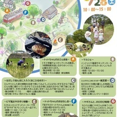 色んな種類のクワガタ、カブトムシ！珍しい種類や外国産も！お子さんのプレゼントに！の画像