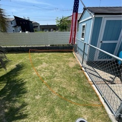 天然芝TM9
の画像