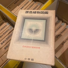 日本百科大事典 全巻セット　まとめ　小学館の画像