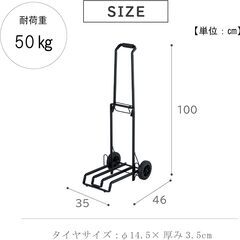 らくらくキャリー 大型　約35×46×100cm 