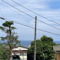 海を眺めながら、愛犬・愛猫と暮らせる駅近アパート