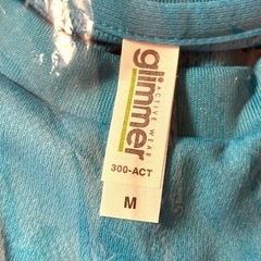 【未使用】【送料無料】 戸隠マウンテントレイル Ｔシャツ Mの画像