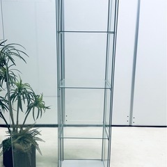 ガラスコレクションケースショーケースの画像