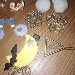 ピアス　アクセサリーケースの画像