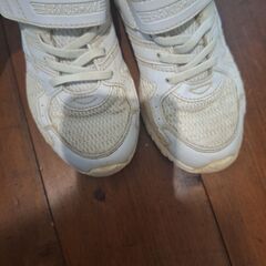瞬足シュンソク外履き21.5　スニーカーの画像