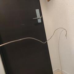 青森の長芋　芽が出てしまいましたの画像