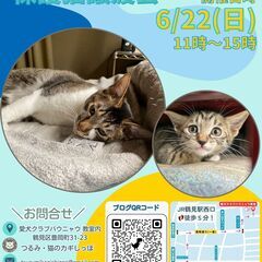 つるみ・猫のカギしっぽ譲渡会6月22日　 JR鶴見駅西口か…