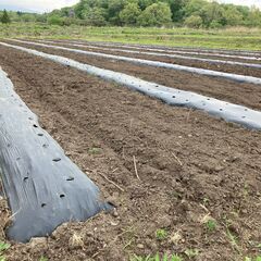 農園管理作業　那須町　月収１８万～の画像