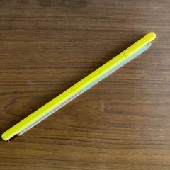 温度計　-2〜100度　本体全長30㎝弱