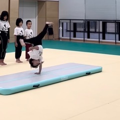 こども向け運動教室の無料体験レッスン🤸の画像