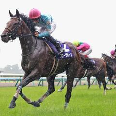 【競馬グルチャ】仲間募集‼️