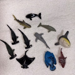 魚ガチャ