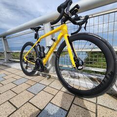ELVES AVARI PRO DISC size:46の画像