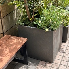 グローバルコミュニケーション不安〜あなたの道標コンシェルジュ