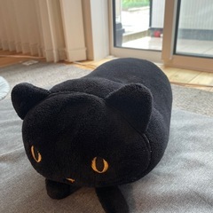 黒猫まくら
の画像