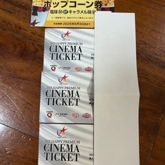 スターシアターズ映画チケット3枚➕ポップコーン券1枚