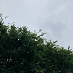 真面目に取り組んでいただける方募集‼️‼️‼️