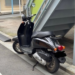 ホンダトゥデイ af61の画像