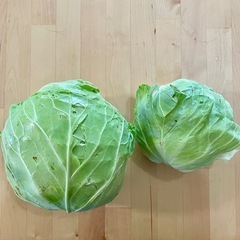 キャベツ1玉