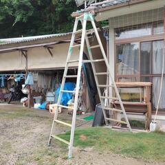 脚立　中古　アルインコ　:高さ270