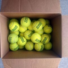 中古テニスボール　50球　ヘッドプロ