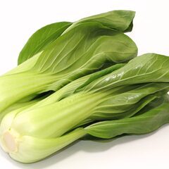 茨城県産　チンゲン菜　1袋（2株入り）②