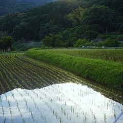 一緒に風景を撮りに行きませんか？🌿‬