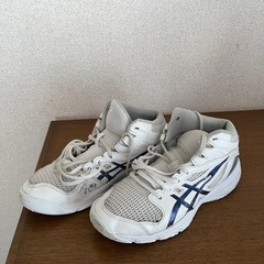 ジュニア用　バスケシューズ