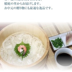 稲庭手延製麺 延寿庵 稲庭手延そうめん「稲庭の素麺」300g(6...