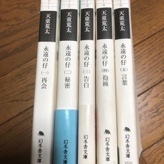 天童荒太　永遠の孔全5巻中古本の画像