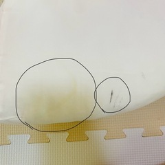 ロトトクッションの画像
