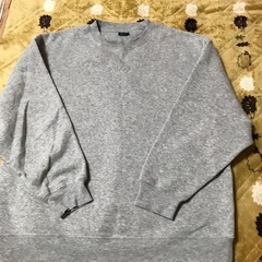 トレーナー3Ｌ