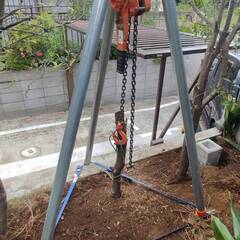 レンタル抜根セット　植木　植栽　切り株