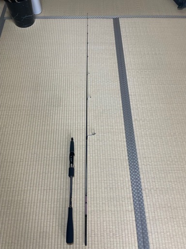 紅牙タイジグロッド