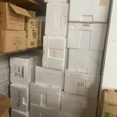発泡ケース