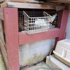 飼育ゲージの画像
