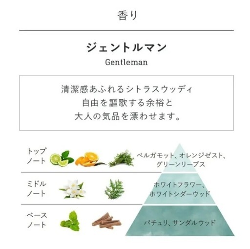 【決定】SABON ジェントルマン 600g