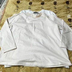 ＬLサイズと3Ｌサイズの画像