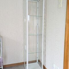 イケア　コレクションケース(ブローリーデン・ホワイト)
