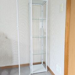 イケア　コレクションケース(ブローリーデン・ホワイト)の画像