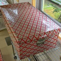 0611-053 レトロな衣装ケース