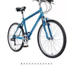 Nishiki(ニシキ)ロードバイクの画像
