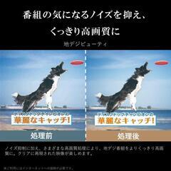 新品未開封 REGZA 4K液晶テレビ レグザ 55インチ Professional 55C350Mの画像